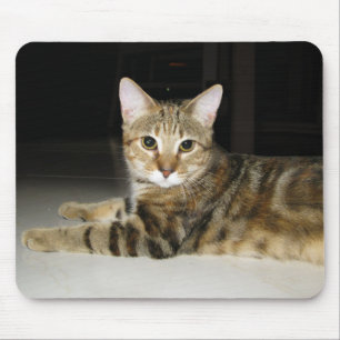 Tapis De Souris Cat