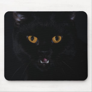 Tapis De Souris Cat