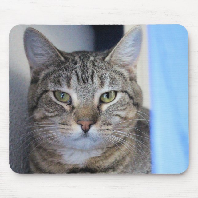 Tapis De Souris Cat (Devant)