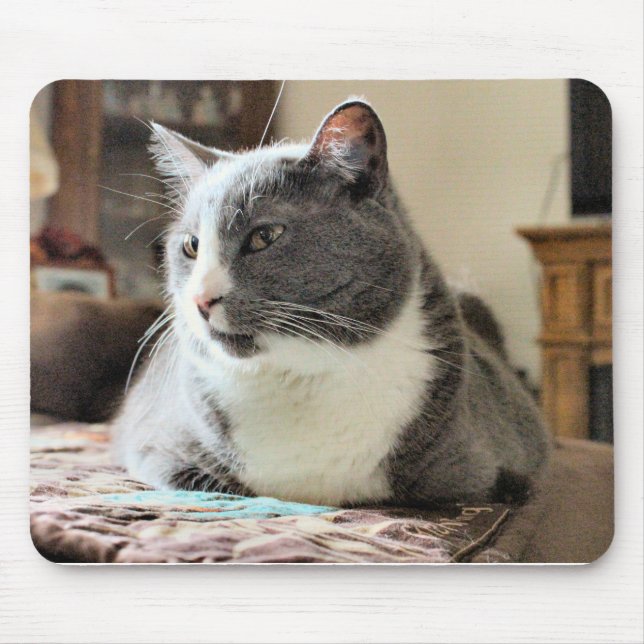Tapis De Souris Cat (Devant)