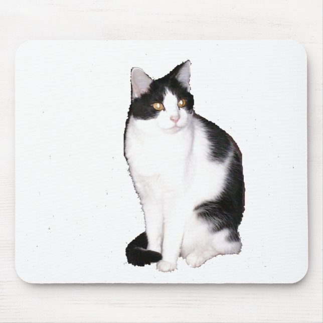 Tapis De Souris Cat 12, Plaque Souris (Devant)