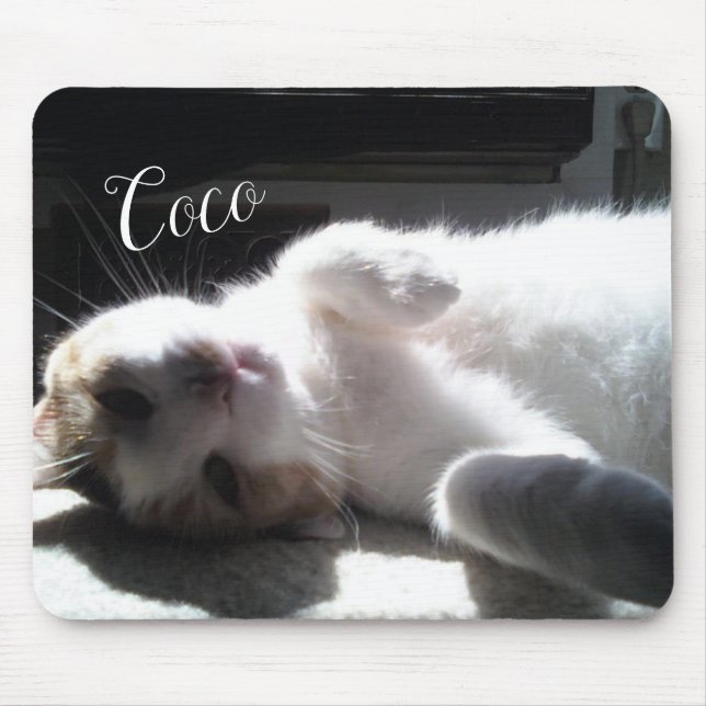 Tapis De Souris Cat Feline Mouse Pad! (Devant)
