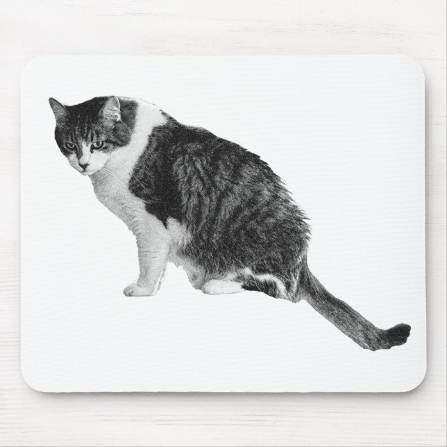 Tapis de souris Cat Focus favorise un flux de trav (Devant)