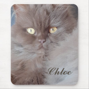 Tapis De Souris Cat mignon