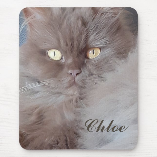 Tapis De Souris Cat mignon (Devant)