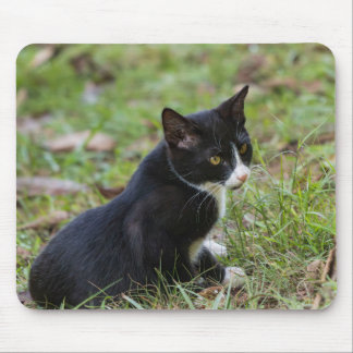 Tapis De Souris Cat Mouse Pad