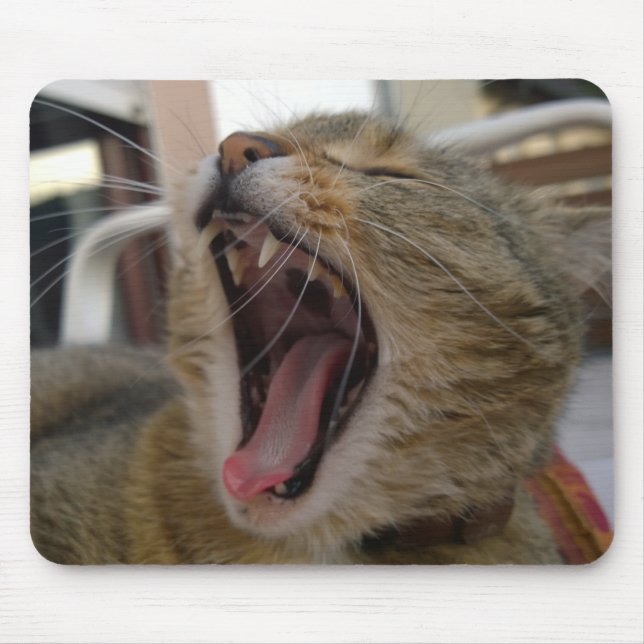 Tapis De Souris Cat yawn (Devant)