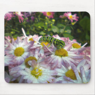 Tapis De Souris Caterpillar et Asters Mousepad