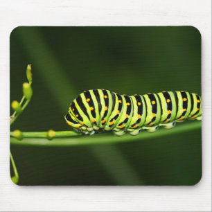 Tapis De Souris Caterpillar, papillon, pigeonnier