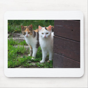 Tapis De Souris Cats out playing