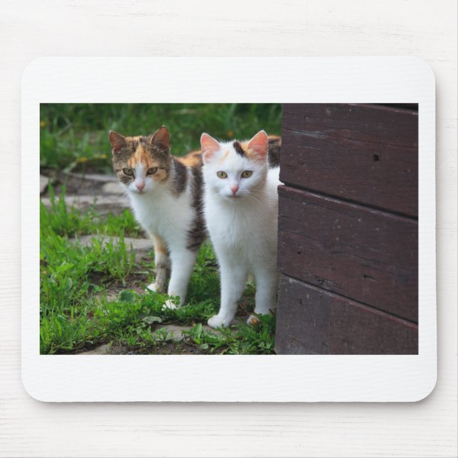 Tapis De Souris Cats out playing (Devant)