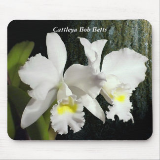 Tapis De Souris Cattleya Bob Betts