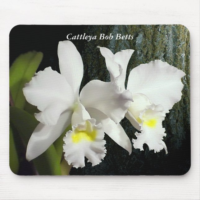 Tapis De Souris Cattleya Bob Betts (Devant)