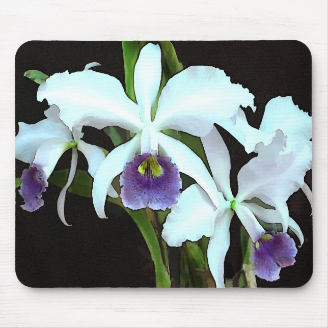 Tapis De Souris Cattleyas fantomatique (Devant)