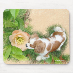 Tapis De Souris Cavalier Charles Spaniel
