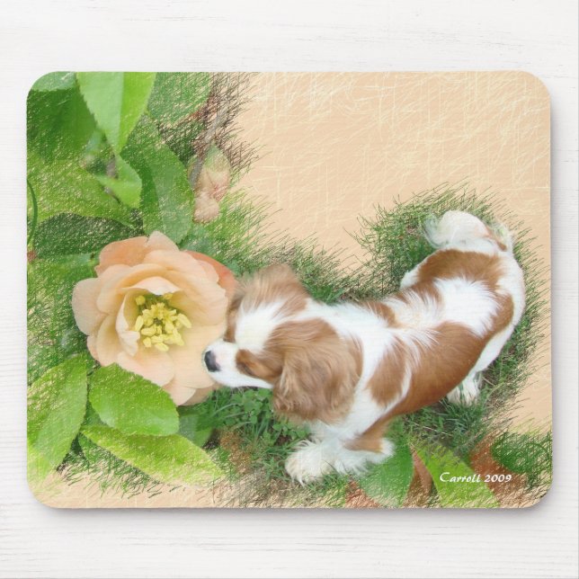 Tapis De Souris Cavalier King Charles Spaniel (Devant)