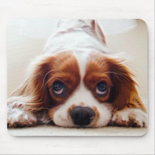 Tapis De Souris Cavalier King Charles Spaniel