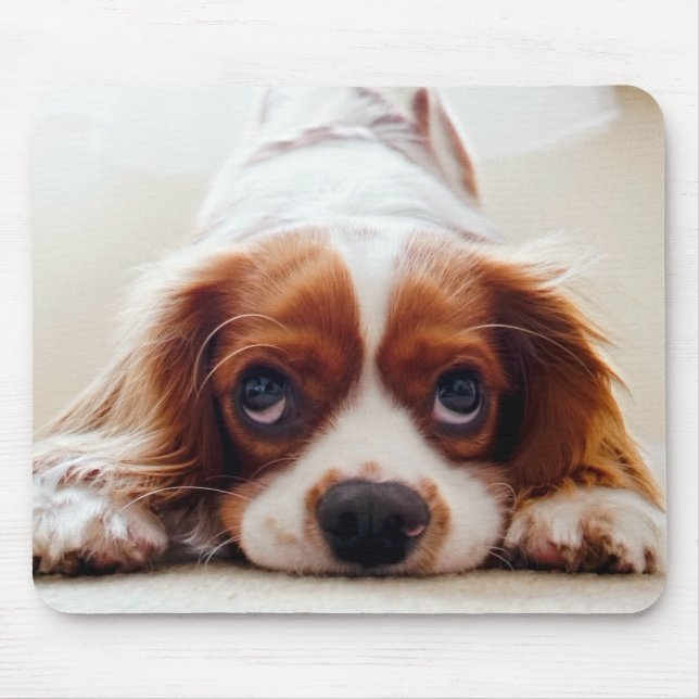 Tapis De Souris Cavalier King Charles Spaniel (Devant)