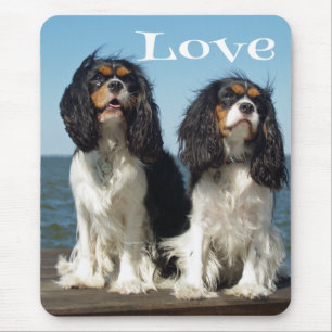 Tapis de souris Cavalier King Charles Spaniel chio