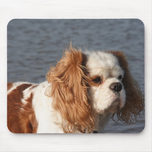 Tapis de souris Cavalier King Charles Spaniel sur  (Devant)