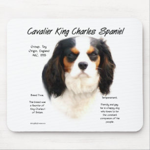 Tapis De Souris Cavalier King Charles Spaniel (tricolore) Histoire