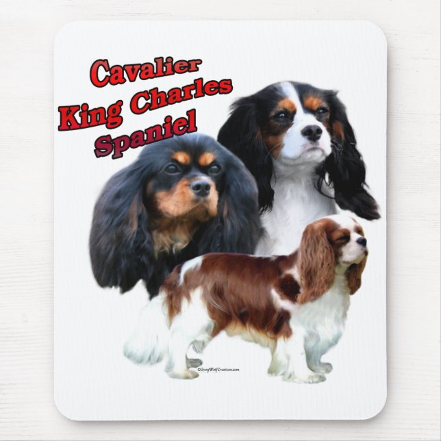 Tapis De Souris Cavalier King Charles Spaniel Trio 2 (Devant)