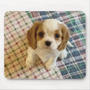 Tapis De Souris Cavalier Spaniel Chiot Mousepad
