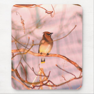 Tapis De Souris Cèdre d'hiver cire faune nature