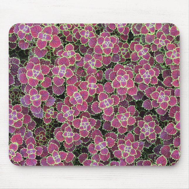 Tapis De Souris cellulaire (Devant)