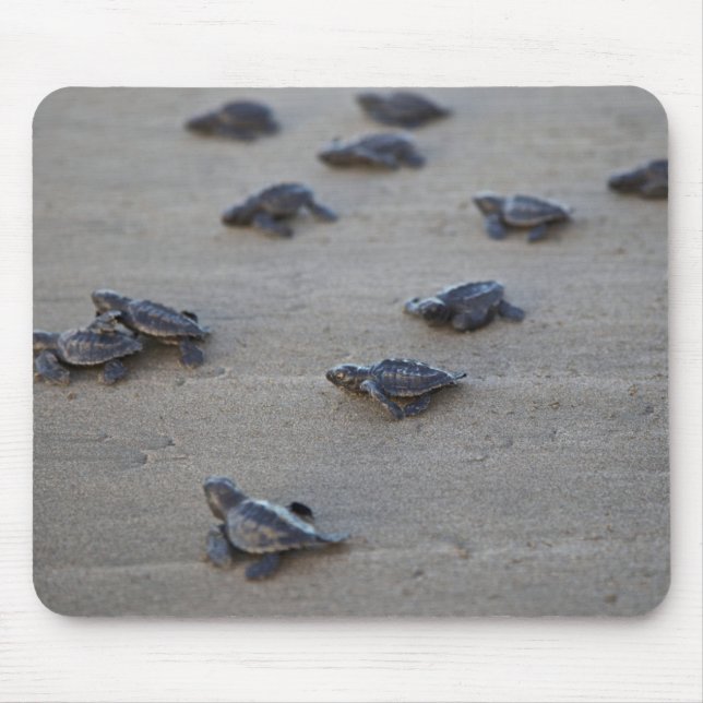 Tapis De Souris Central America, El Salvador, Pacific Ocean (Devant)