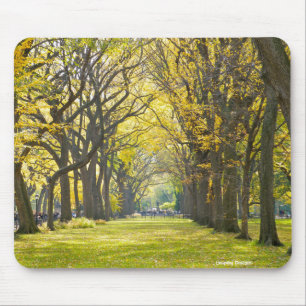 Tapis De Souris Central Park Mousepad