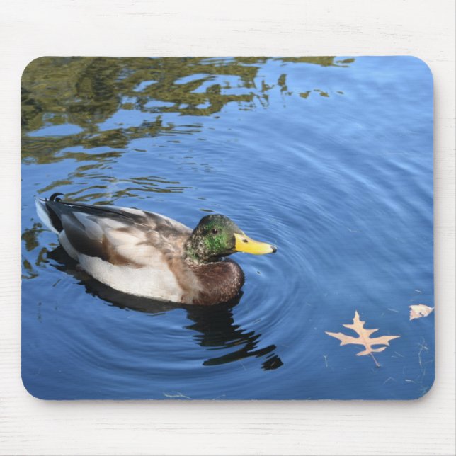 Tapis De Souris Central Park NYC Conservatoire Eau Mallard Canard (Devant)
