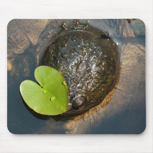 Tapis De Souris Centré (Devant)