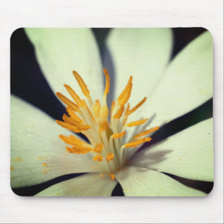 Tapis De Souris Centre de fleurs du bloc