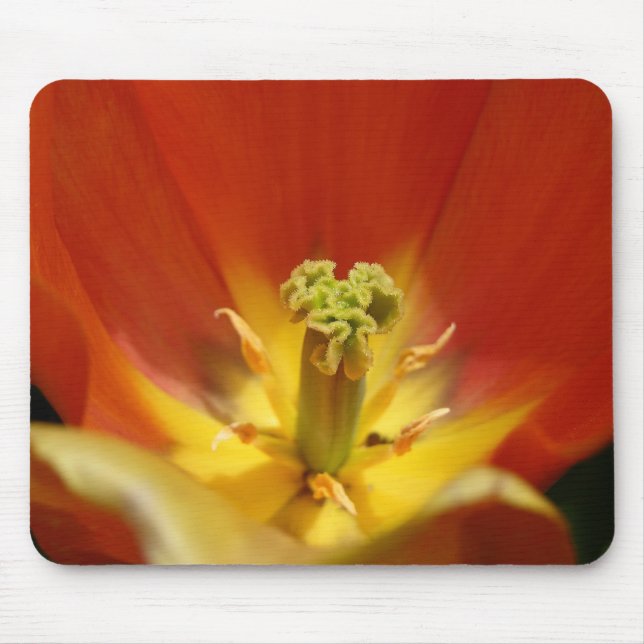 Tapis De Souris Centre Tulip (Devant)