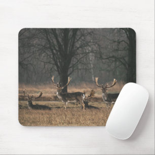 Tapis De Souris Cerf