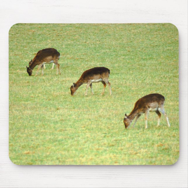 Tapis De Souris cerf 2 (Devant)
