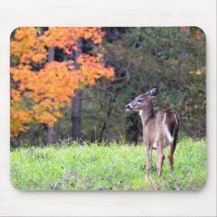 Tapis De Souris Cerf à queue blanche dans un champ d'automne