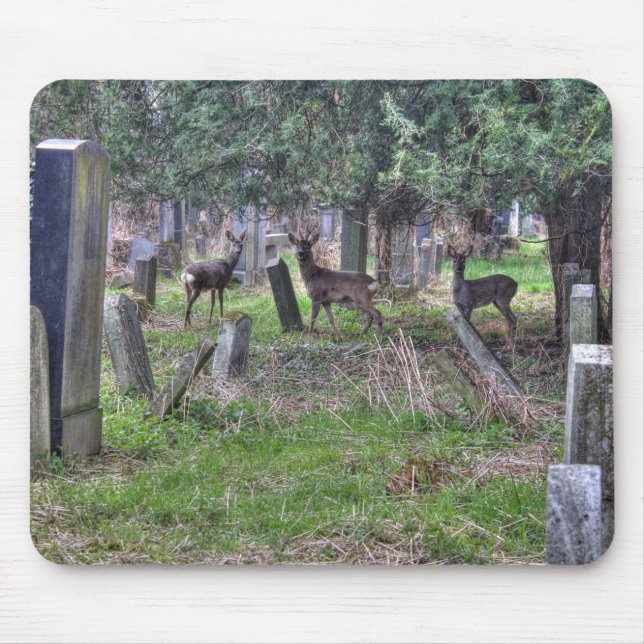 Tapis De Souris Cerf À Zentralfriedhof (Devant)