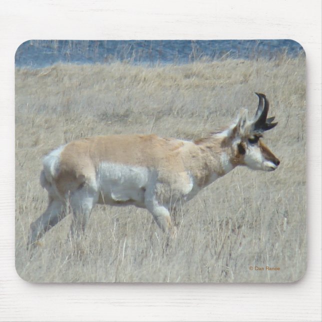 Tapis De Souris Cerf antilope A25 (Devant)