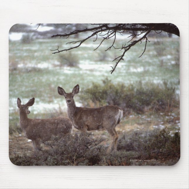 Tapis De Souris Cerf courant (Devant)