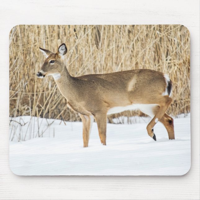 Tapis De Souris Cerf dans la neige (Devant)