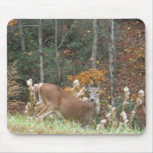 Tapis De Souris Cerf d'automne dans le lac Arrowhead