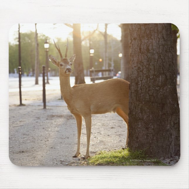 Tapis De Souris Cerf en ville (Devant)