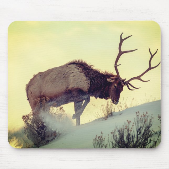 tapis de souris cerf extra grande vitesse sauvage (Devant)