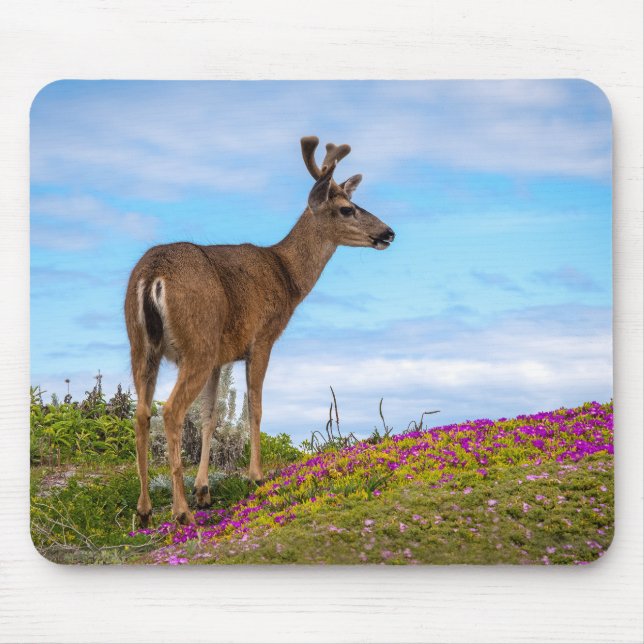 Tapis de souris Cerf | Faune et Flore Côtière (Devant)
