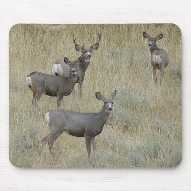 Tapis De Souris Cerf mulet D18 (Devant)