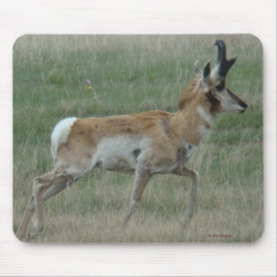 Tapis De Souris Cerf pronghorn A32