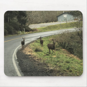 Tapis De Souris Cerf sur la route, Cap Déception, WA