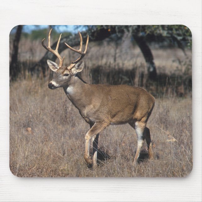 Tapis De Souris Cerfs communs (Devant)